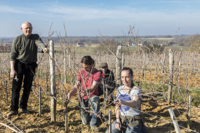 Domaine Labet Les Parcelles Rares La Bardette Chardonnay